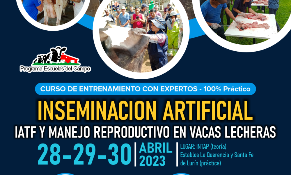 Curso de Entrenamiento con Expertos 100 Práctico Inseminación