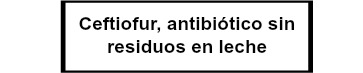 Ceftiofur antibiótico