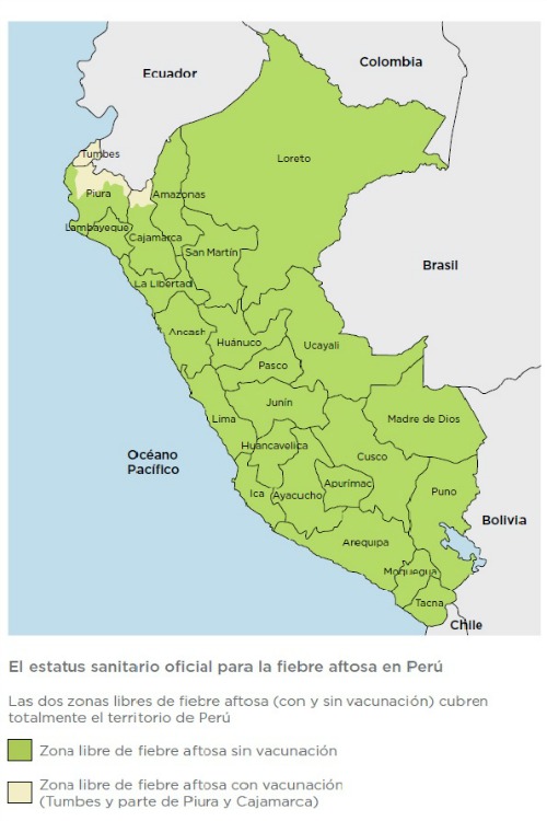 fiebre aftosa Peru
