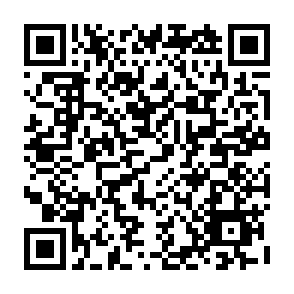 qr_terneros