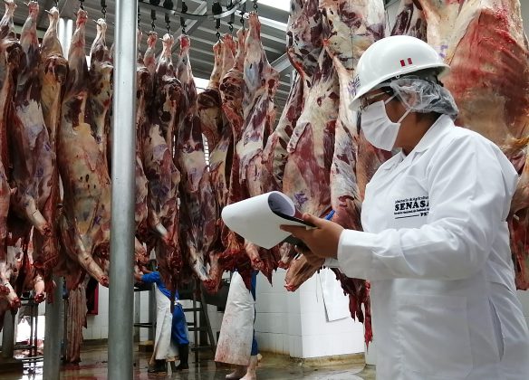 MINAGRI: Mejoramiento de mataderos avanza en la región Piura