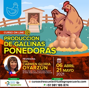 Curso On Line: Producción de Gallinas Ponedoras 2021