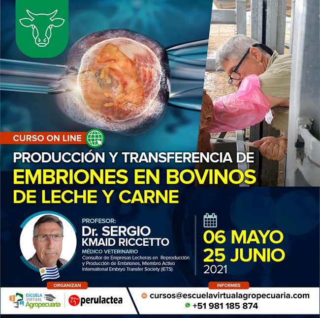 Curso On Line: Producción y Transferencia de Embriones en Bovinos de Leche y Carne