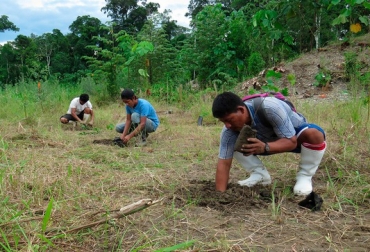 Perú impulsa manejo forestal sostenible y responsable de los bosques