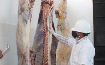 SENASA gestiona la implementación de mataderos municipales en Arequipa