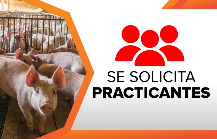 San Bernardo SAC Solicita Practicantes para Planta de Alimento Balanceado