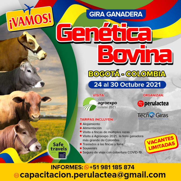 Gira Ganadera Genética Bovina Colombiana 2021