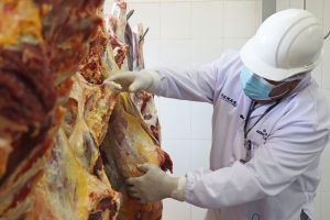 SENASA Mantiene Gestiones Estratégicas con Gobiernos Locales para Mejoramiento de Mataderos