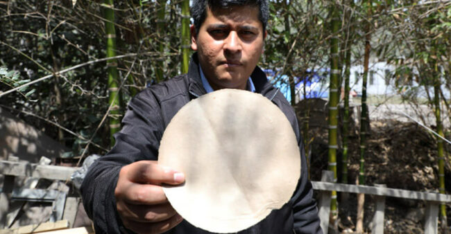 UNALM: Investigadores Elaboran Envolturas para Alimentos con Fibras de Bambú