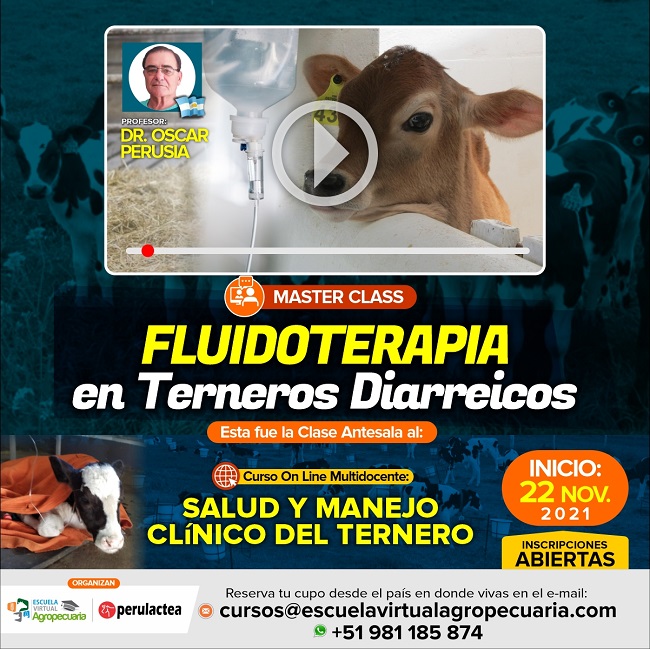 Videoconferencia: Fluidoterapia en Terneros