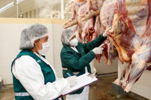 SENASA impulsa el mejoramiento de mataderos de animales de abasto ante gobiernos locales