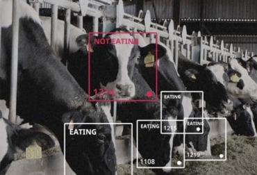 Software de reconocimiento facial como un método de identificación no invasivo de las Vacas
