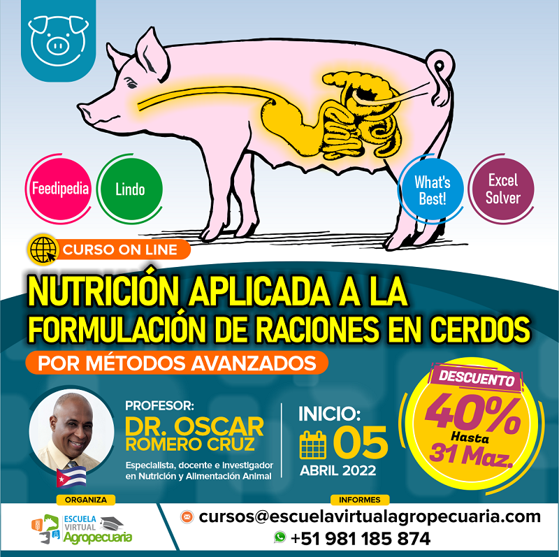 Curso Online: Formulación de Raciones para Cerdos por Métodos Avanzados