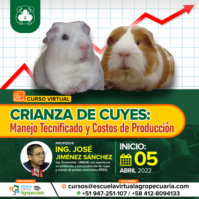 Curso On Line: Crianza de Cuyes - Manejo Tecnificado y Costos de Producción 2022