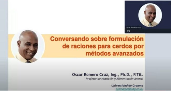 Videoconferencia: Conversando Sobre Formulación de Raciones en Cerdos
