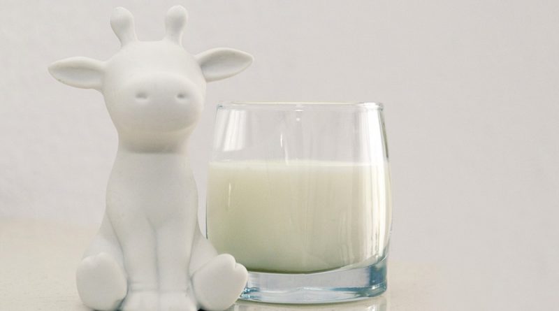 Crean una leche de vaca artificial con tecnología de cultivo de células de mamíferos