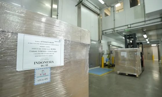 Por primera vez en la historia: Argentina exportó vacunas contra la aftosa a Indonesia