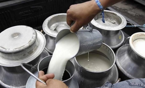 Sigue la polémica por lactosueros en la leche en Colombia