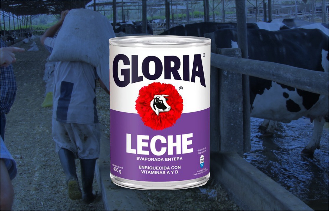 Gloria presenta tarro 100% leche fresca en nuevo envase morado respetando cambios del reglamento de la leche