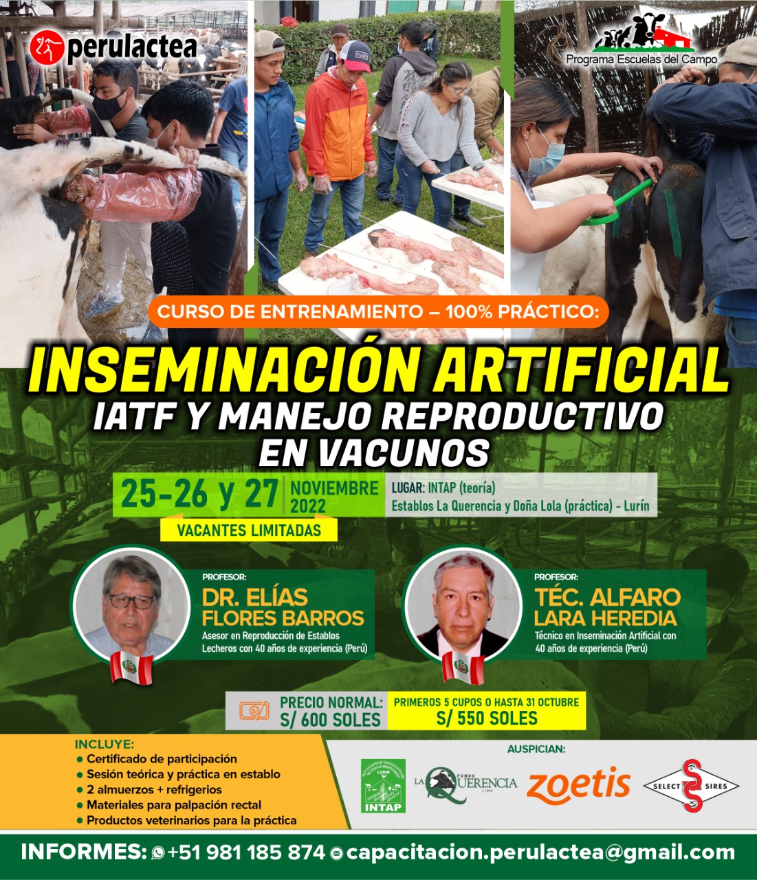 Curso de Entrenamiento - 100% Práctico: Inseminación Artificial, IATF y Manejo Reproductivo Exitoso en Vacas Lecheras