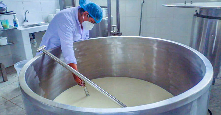 Construirán planta procesadora de leche en Oxapampa - Perú