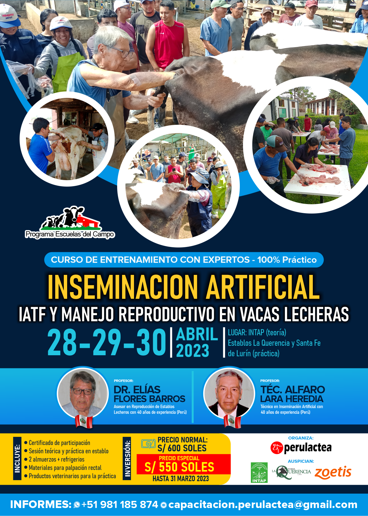 Curso de Entrenamiento con Expertos - 100% Práctico: Inseminación Artificial, IATF y Manejo Reproductivo en Vacas Lecheras