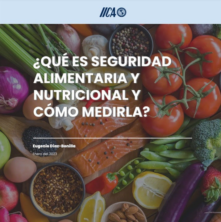 IICA lanza documento sobre qué es seguridad alimentaria y nutricional y cómo medirla