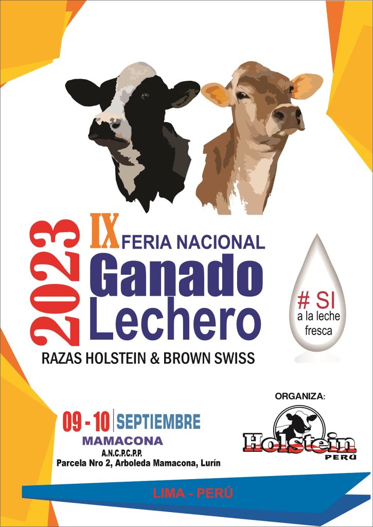 Ix Feria Nacional De Ganado Lechero De Raza Holstein Y Brown Swiss Perulactea 5615