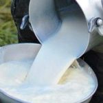 Resolución de Qali Warma enfrenta a los ganaderos y la industria láctea